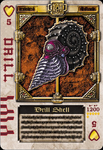 Shell