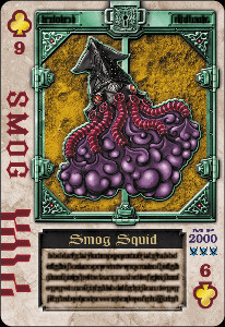Squid