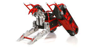 Razorback