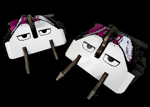 The Twins