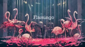 Flamingo