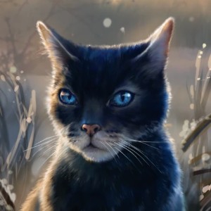 Crowfeather