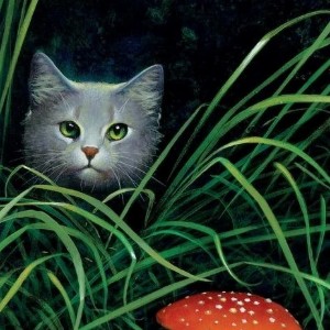 Dovewing