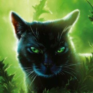 Hollyleaf