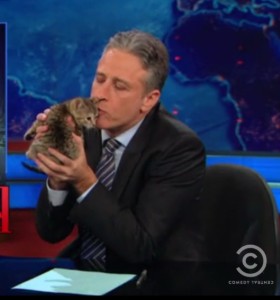 jon stewart