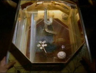 The Pinball Wizard