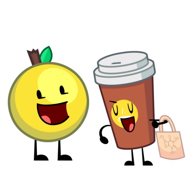 grapefruit x coffee