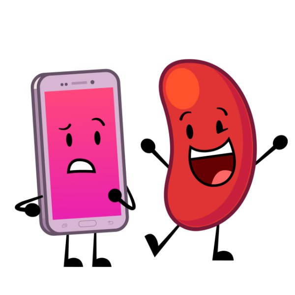 phone x jellybean