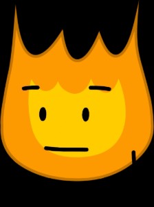Fireytpot21