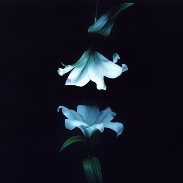 Nocturne