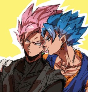 Vegito x Goku Black