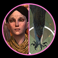 Merrill / Hawke