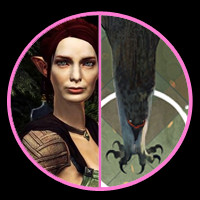 Tallis / Hawke