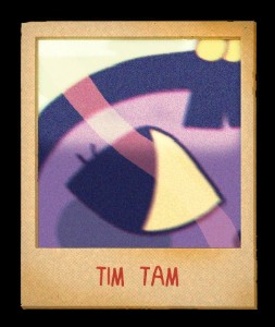 Tim Tam