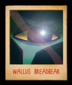 Wallus