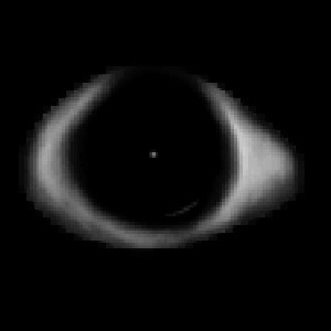 Watching / I see you