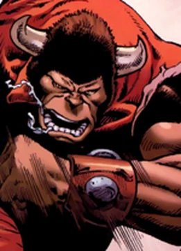 Bison