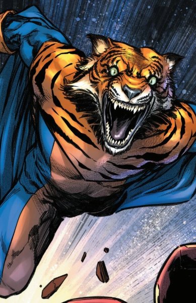 Flying Tiger