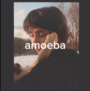 amoeba