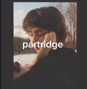 partridge
