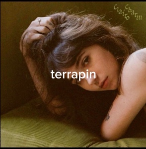 terrapin