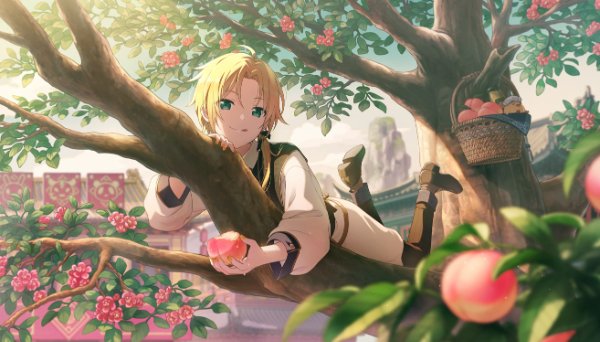 Admired Protagonist