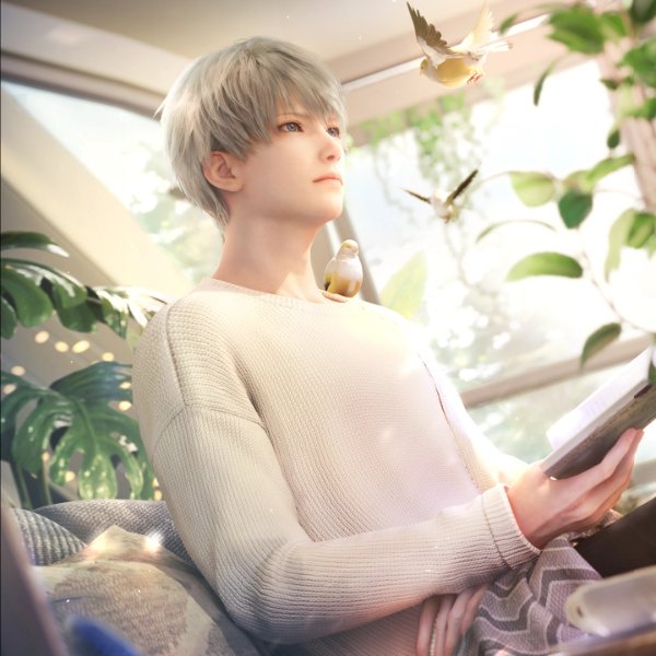 Shimmering Sunlight