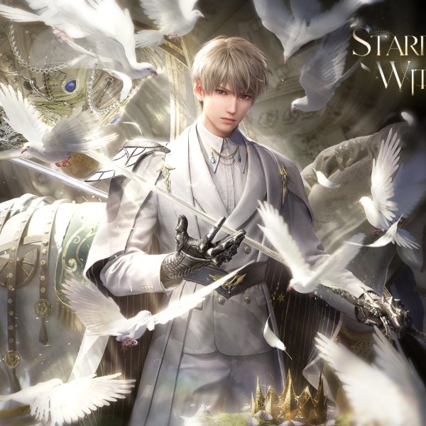 Starry Witness