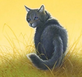 Cinderpelt- Warrior Cats