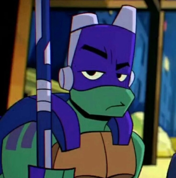 Donatello- Rise of the Teenage Mutant Ninja Turtles