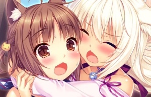 Azucoco