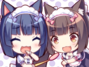 Shiguchoco