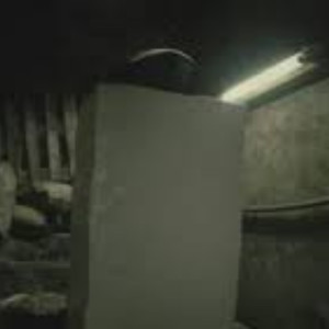 Tofu