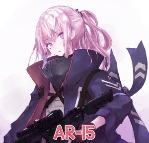 AR-15