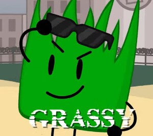Grassy