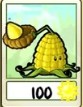 Kernel-Pult