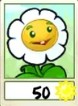 Marigold