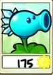 Snow Pea