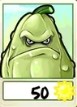 Squash