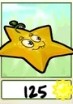 Starfruit