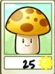 Sun Shroom