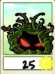 Tangle Kelp