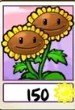 Twin Sunflower