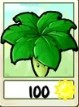 Umbrella Leaf
