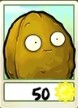 Wall-Nut