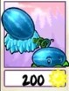 Winter Melon