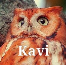 Kavi