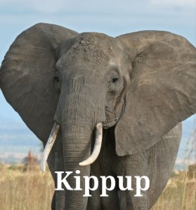 Kippup