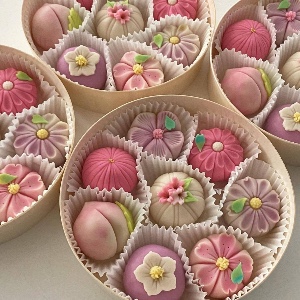 Mochi