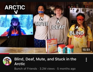 Blind, Deaf, Mute, and Stuck in the Arctic